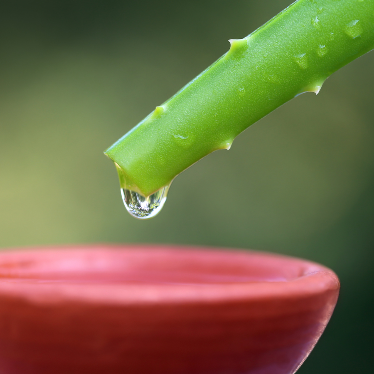 Natural Extracts